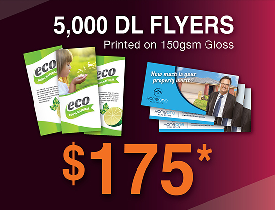 5 000 x dl flyers 5000 flyers for 99