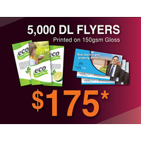 5,000 x DL Flyers