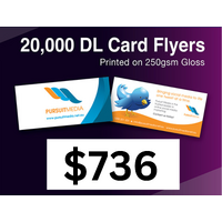 20,000 x DL Card Flyers