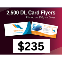 2,500 x DL Card Flyers